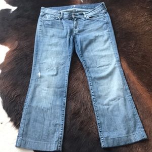 Seven Dojo bootcut jeans
